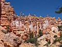 Bryce Canyon 12